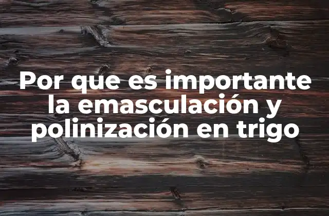Por que es Importante la Emasculación y Polinización en Trigo
