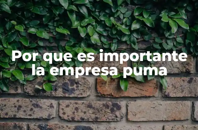 Por que es Importante la Empresa Puma