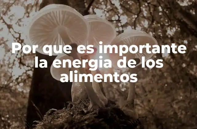 Por que es Importante la Energia de los Alimentos