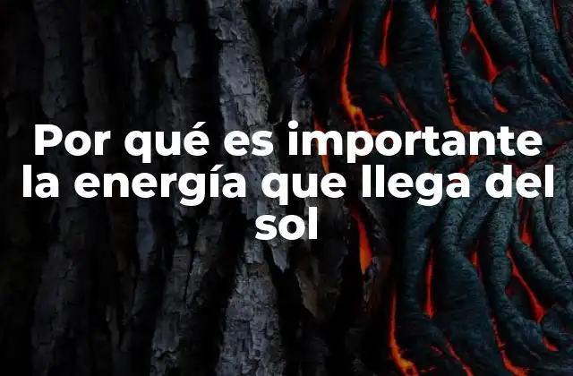 Por Qué es Importante la Energía que Llega Del Sol