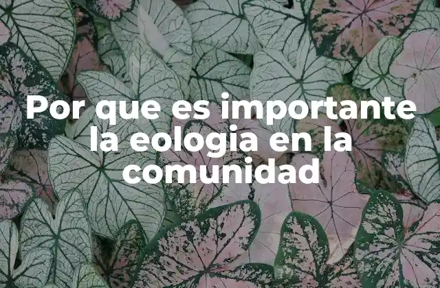 Por que es Importante la Eologia en la Comunidad