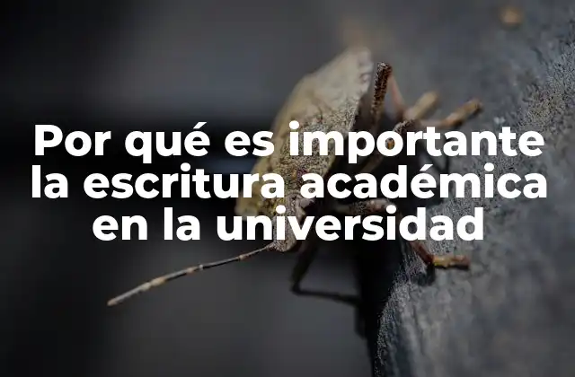 La base del pensamiento crítico en la educación superior