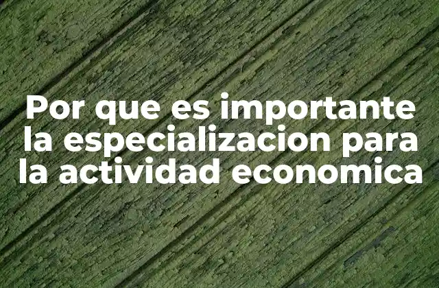 Por que es Importante la Especializacion para la Actividad Economica