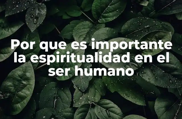 Por que es Importante la Espiritualidad en el Ser Humano