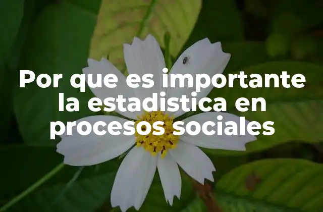 Por que es Importante la Estadistica en Procesos Sociales
