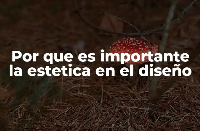 Por que es Importante la Estetica en el Diseño