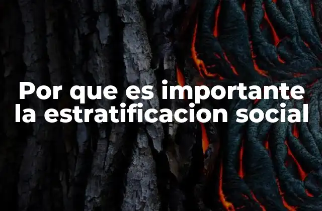 Por que es Importante la Estratificacion Social