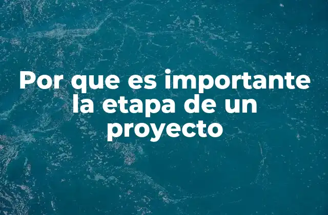 Por que es Importante la Etapa de un Proyecto