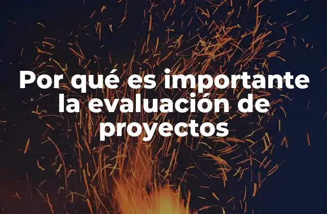 Por Qué es Importante la Evaluación de Proyectos