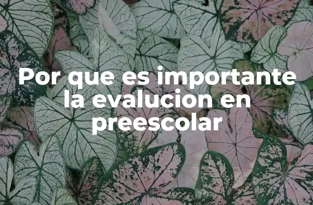 Por que es Importante la Evalucion en Preescolar