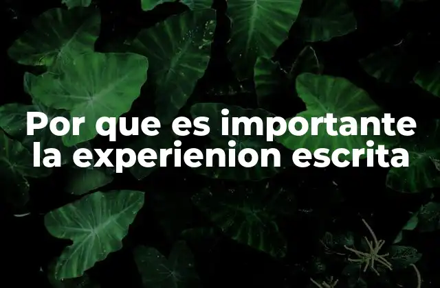 Por que es Importante la Experienion Escrita