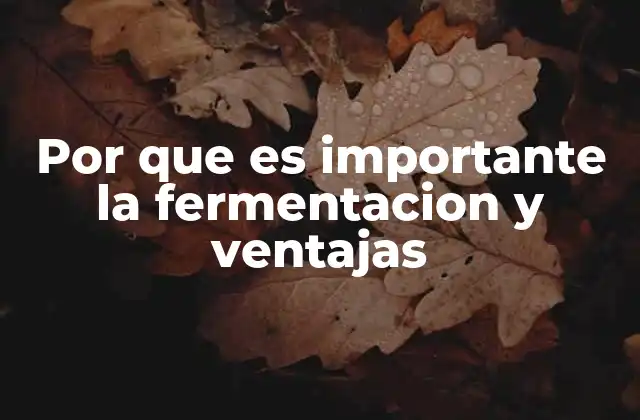 Por que es Importante la Fermentacion y Ventajas