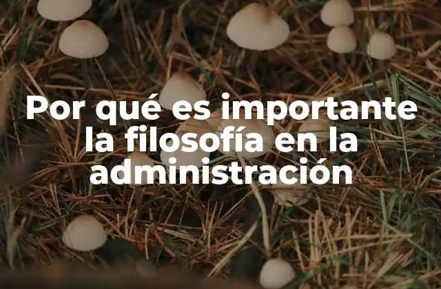 Por Qué es Importante la Filosofía en la Administración