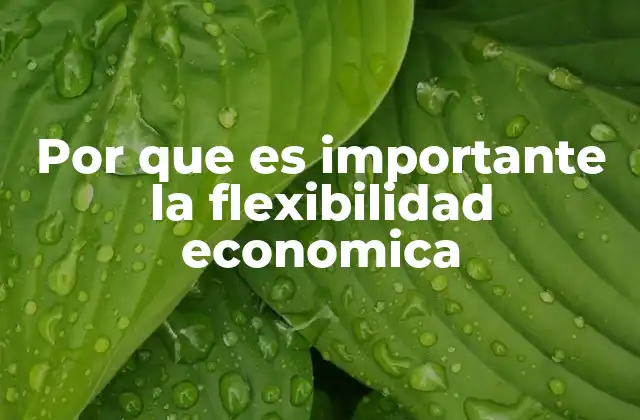 Por que es Importante la Flexibilidad Economica