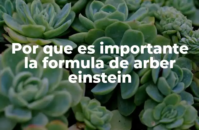 Por que es Importante la Formula de Arber Einstein