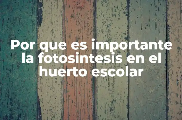 Por que es Importante la Fotosintesis en el Huerto Escolar