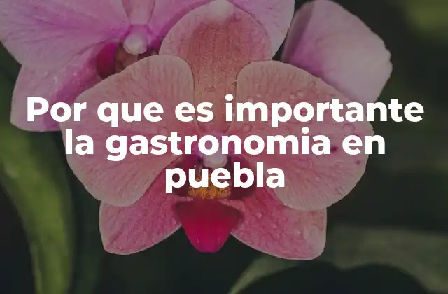 Por que es Importante la Gastronomia en Puebla
