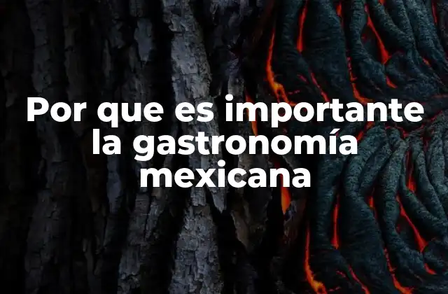 Por que es Importante la Gastronomía Mexicana