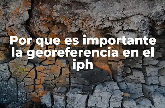 Por que es Importante la Georeferencia en el Iph