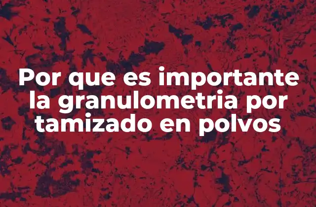 Por que es Importante la Granulometria por Tamizado en Polvos