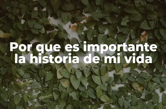 Por que es Importante la Historia de Mi Vida