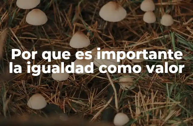 Por que es Importante la Igualdad como Valor