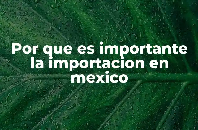 Por que es Importante la Importacion en Mexico