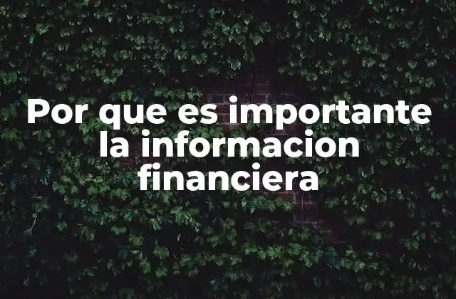 Por que es Importante la Informacion Financiera