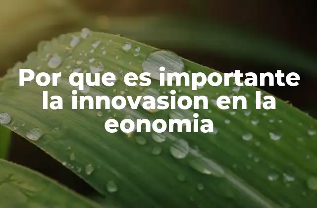 Por que es Importante la Innovasion en la Eonomia