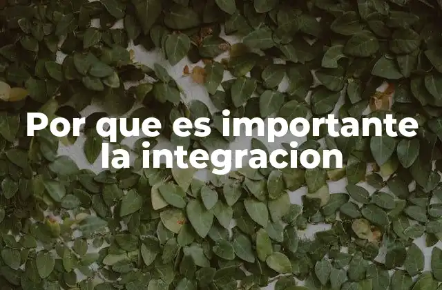 Por que es Importante la Integracion