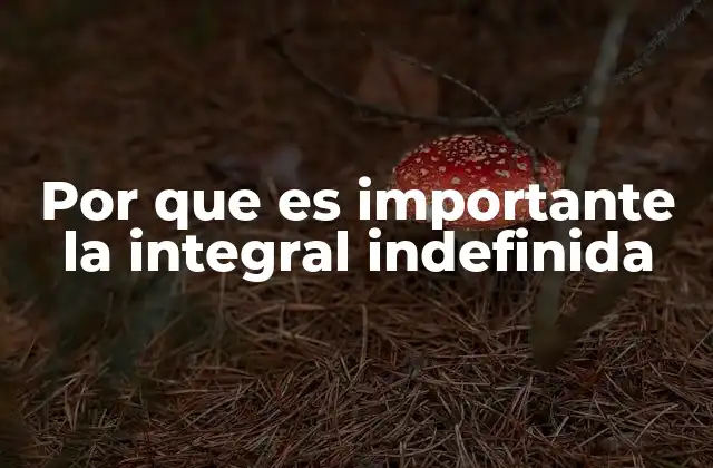 Por que es Importante la Integral Indefinida