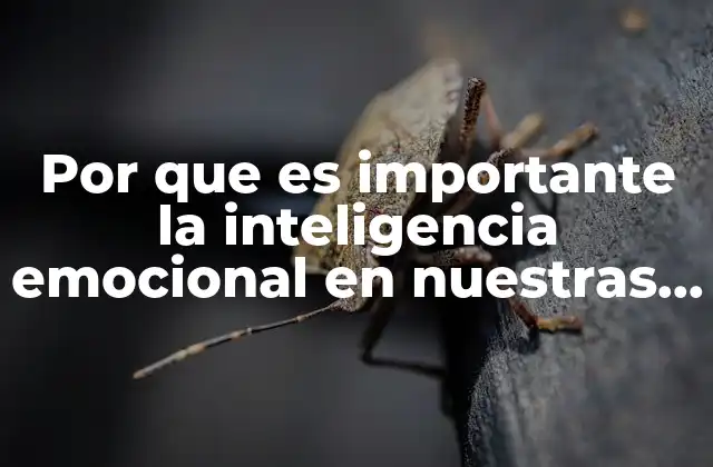 Por que es Importante la Inteligencia Emocional en Nuestras Vidas