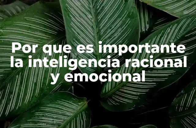 Por que es Importante la Inteligencia Racional y Emocional