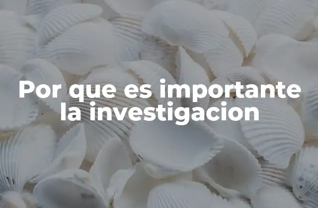 Por que es Importante la Investigacion