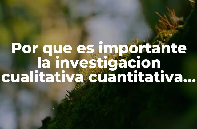 Por que es Importante la Investigacion Cualitativa Cuantitativa y Mista