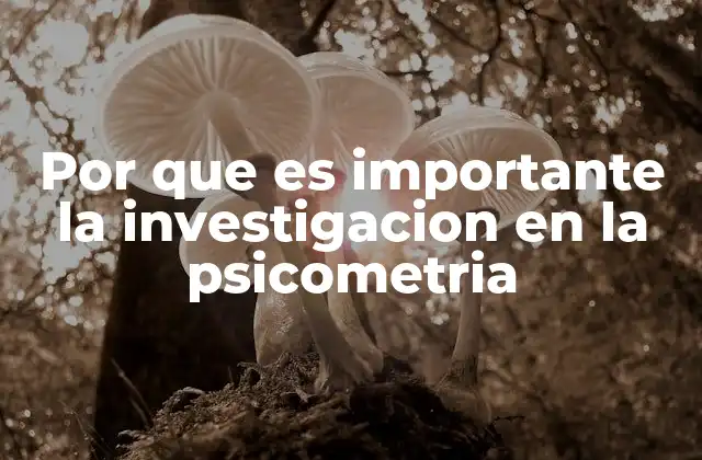 Por que es Importante la Investigacion en la Psicometria