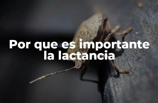 Por que es Importante la Lactancia 2 El impacto de la lactancia en la salud pública