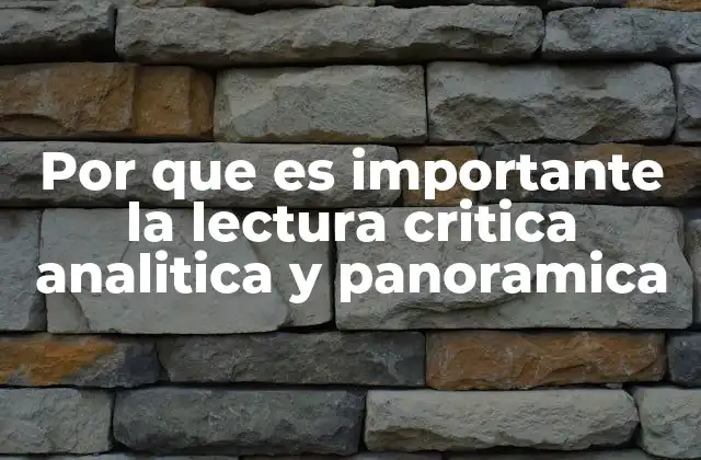 Por que es Importante la Lectura Critica Analitica y Panoramica