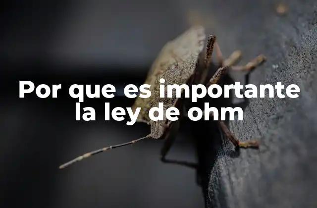 Por que es Importante la Ley de Ohm