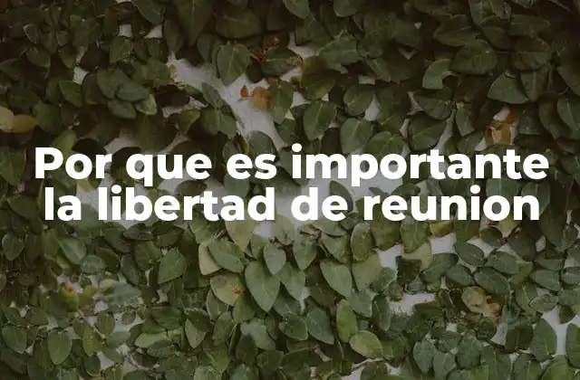 Por que es Importante la Libertad de Reunion