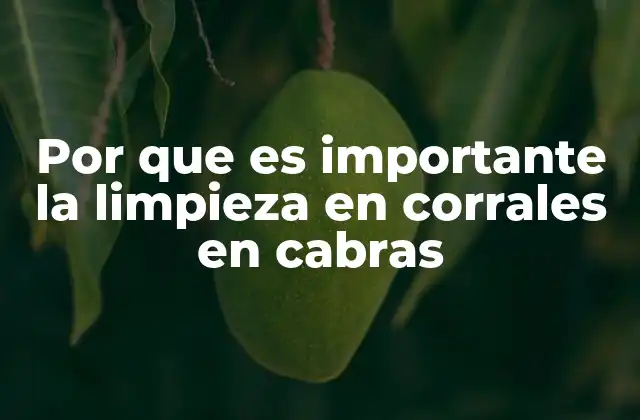 Por que es Importante la Limpieza en Corrales en Cabras