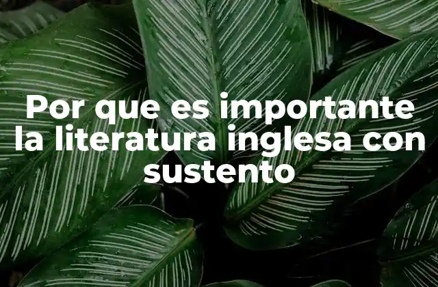 Por que es Importante la Literatura Inglesa con Sustento