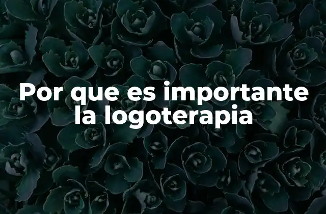Por que es Importante la Logoterapia
