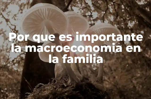 Por que es Importante la Macroeconomia en la Familia