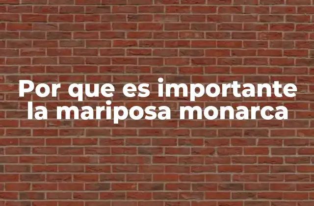 Por que es Importante la Mariposa Monarca