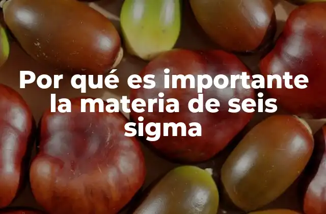 Por Qué es Importante la Materia de Seis Sigma