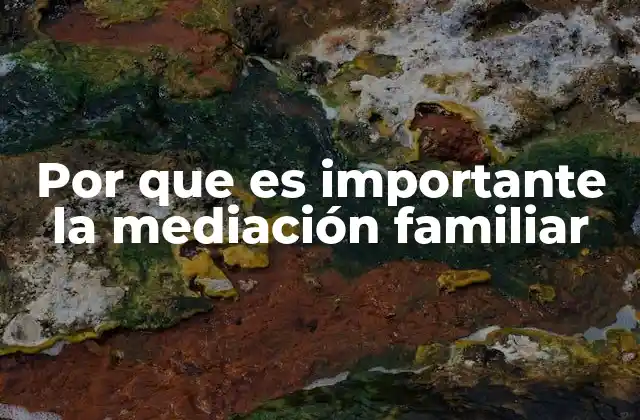 Por que es Importante la Mediación Familiar