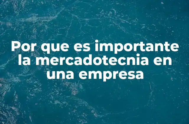 Por que es Importante la Mercadotecnia en una Empresa