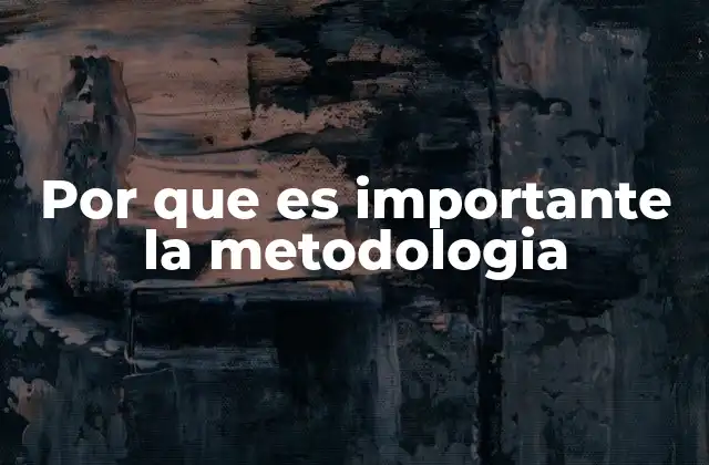 Por que es Importante la Metodologia