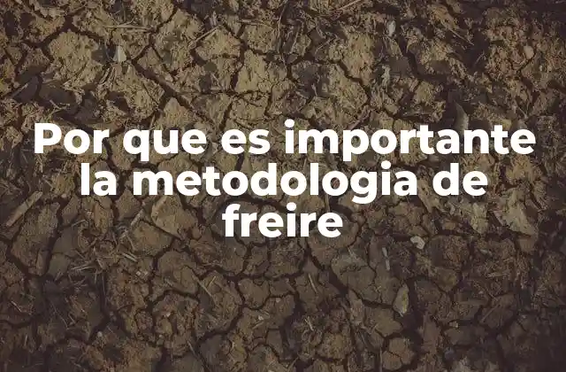 Por que es Importante la Metodologia de Freire